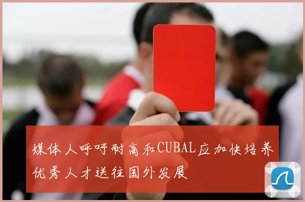媒体人呼吁耐高和CUBAL应加快培养优秀人才送往国外发展