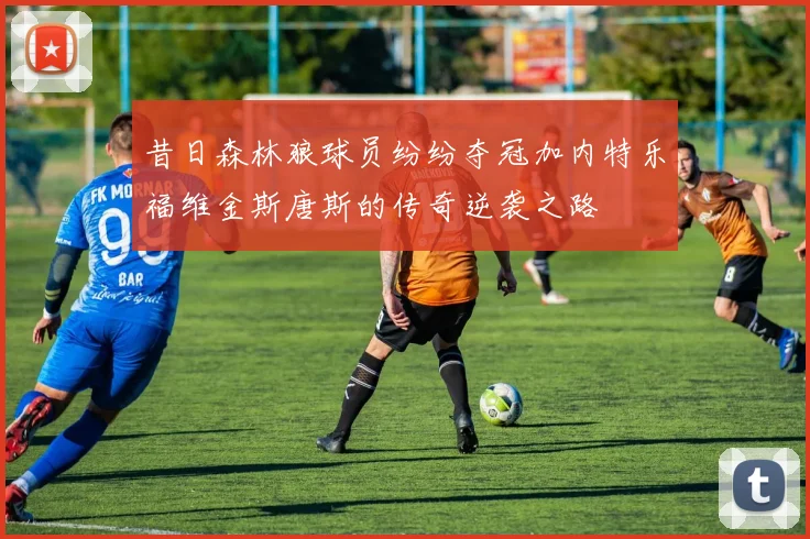 昔日森林狼球员纷纷夺冠加内特乐福维金斯唐斯的传奇逆袭之路
